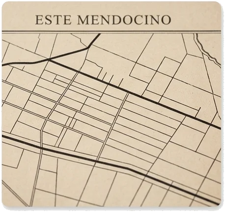 Santa Rosa Mendoza: historia, ubicación y carácter del este mendocino
